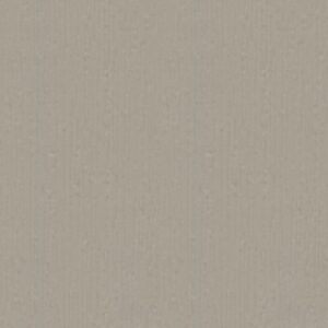 Driftstone Beige
